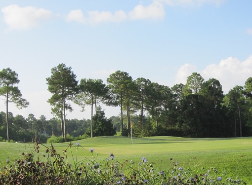 Carolina National Golf Course Winding River Plantation